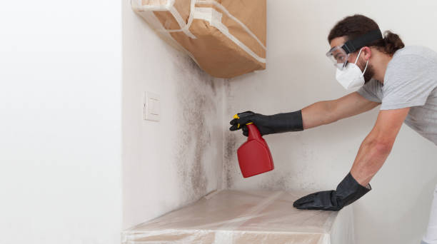 Professional Bathroom Mold Removal technician working in Dallas, TX