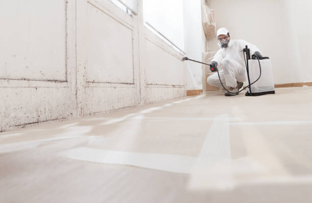 24/7 Emergency Bathroom Mold Removal experts in Dallas, TX