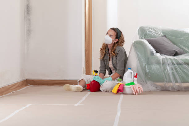 Reliable Bathroom Mold Removal contractor in Dallas, TX by Mold Remediation HQ